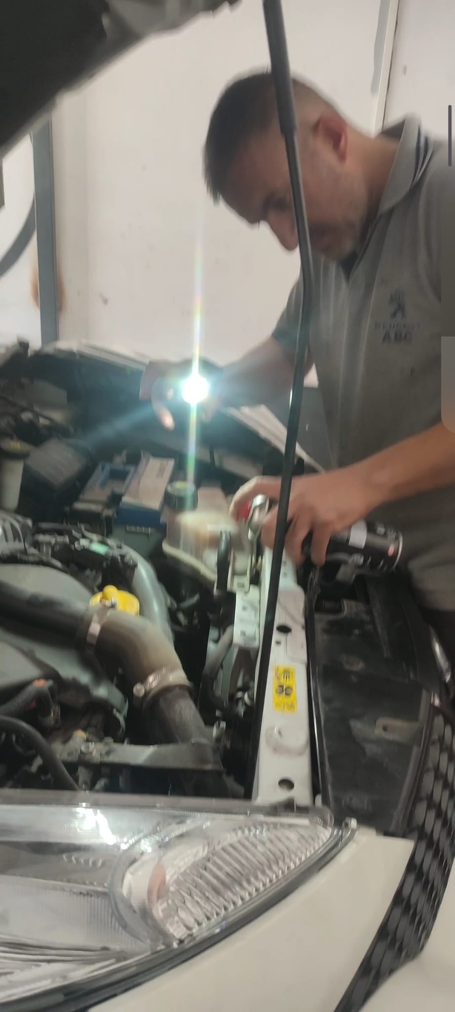 Yunus Peugeot & Citroen özel Servis